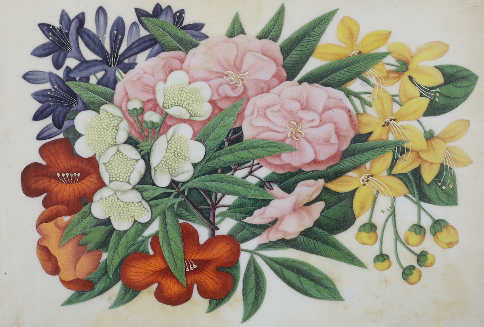 Chinese School, pair of watercolours on pith paper, Still lifes of flowers, 18 x 27cm